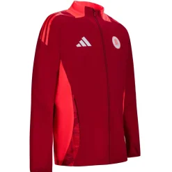 Uomo AS Roma Felpe<Felpa Allenamento Coach Full Zip , Rossa, Uomo