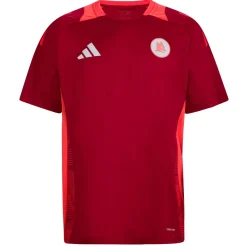 Uomo AS Roma T-shirts E Polo<T-shirt Allenamento Coach , Rossa, Uomo
