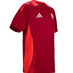 Uomo AS Roma T-shirts E Polo<T-shirt Allenamento Coach , Rossa, Uomo
